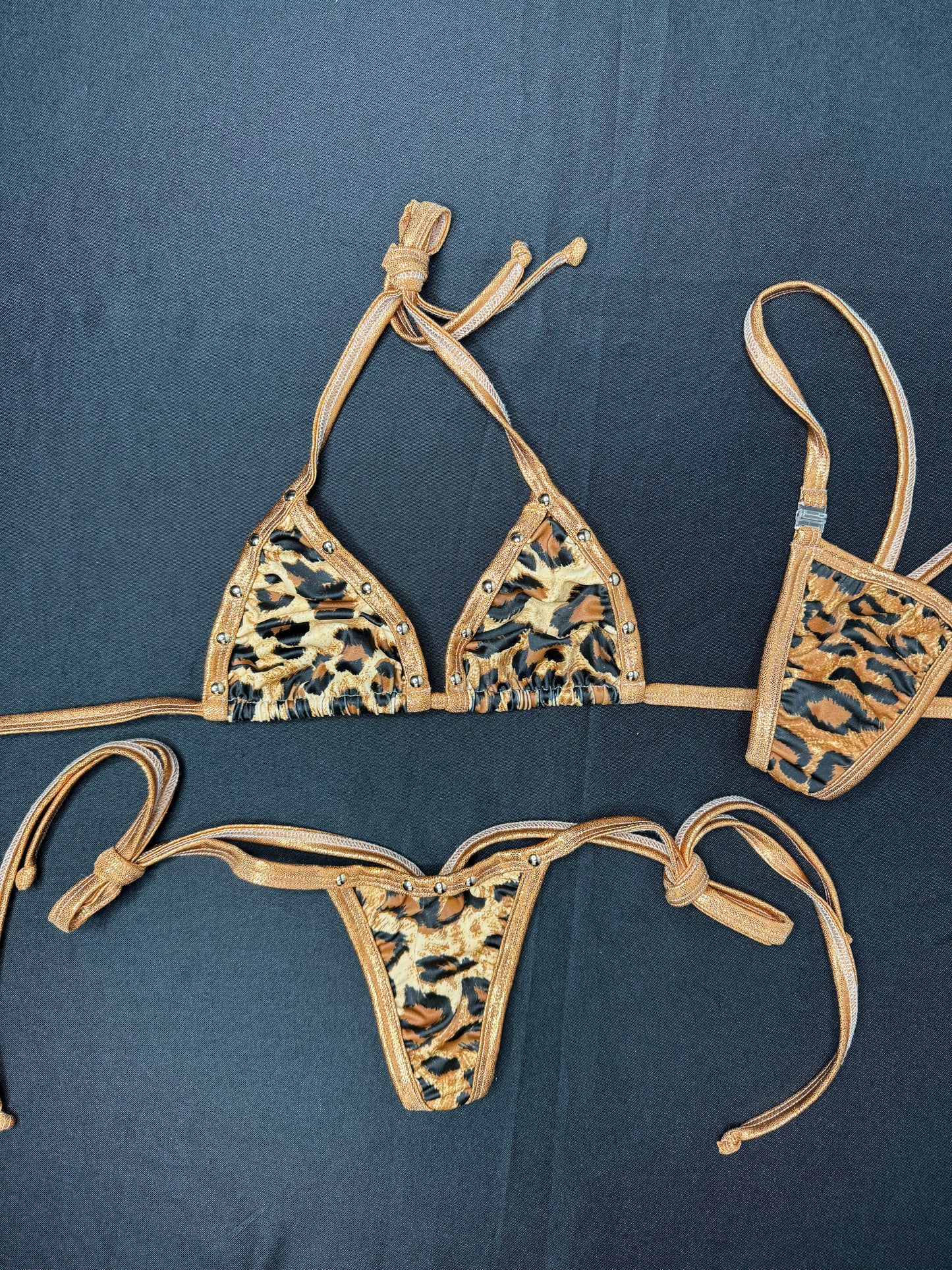 Animal Print Spandex Two-Piece Bikini Lingerie Outfit